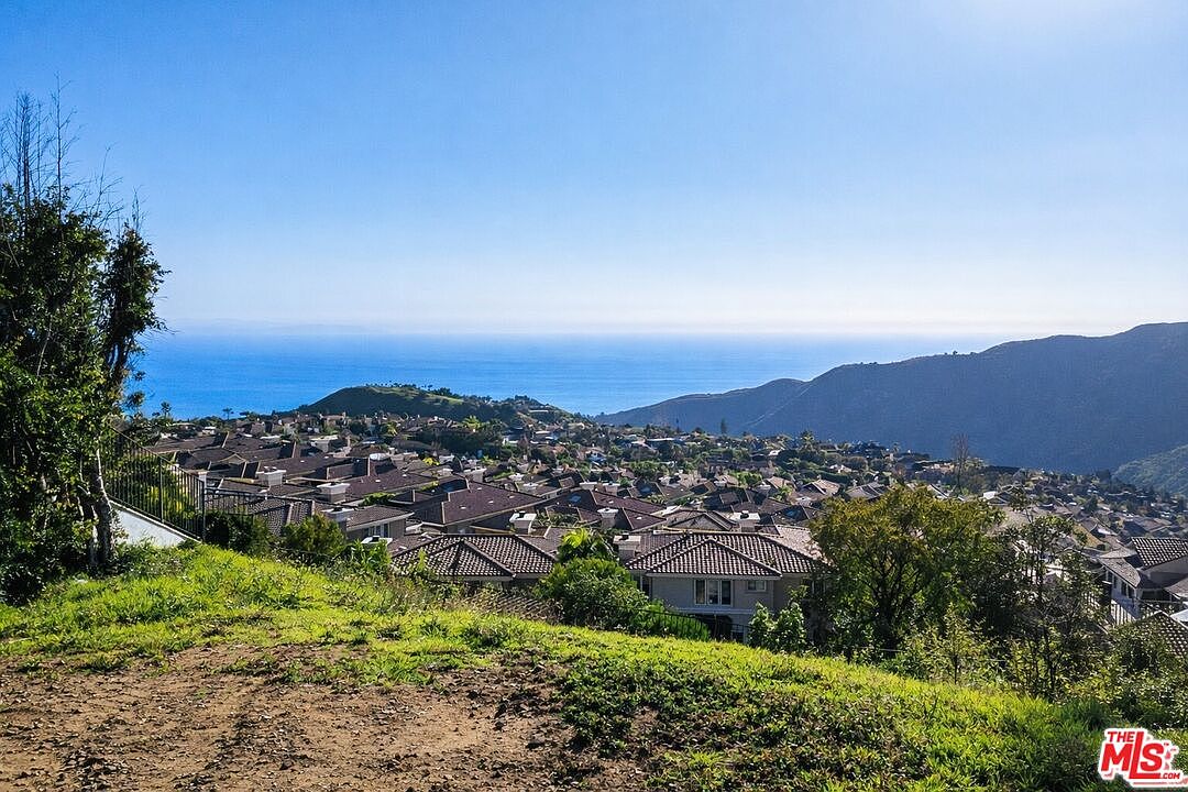 Wide panoramic view of Pacific Ocean, mountains, and Palisades community